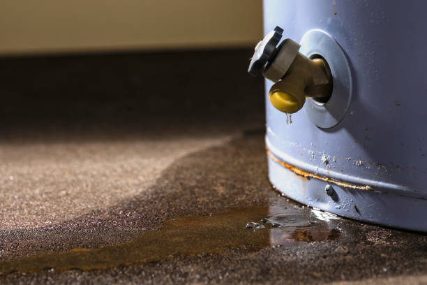  Romeo, MI Water damage restoration Pros