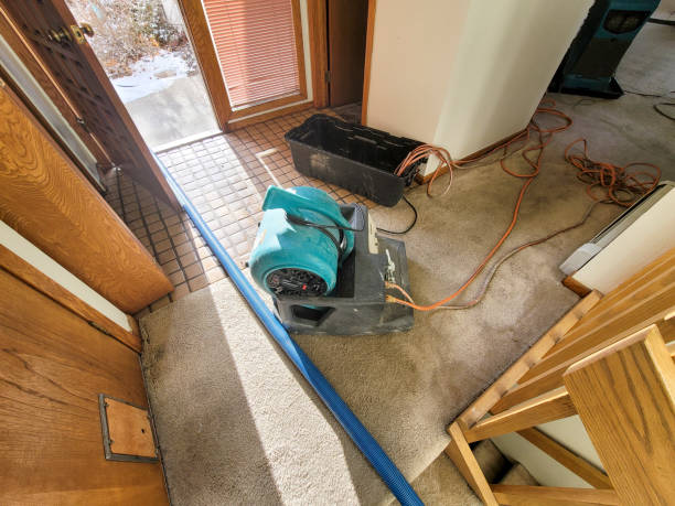 Best Emergency water damage restoration  in Romeo, MI