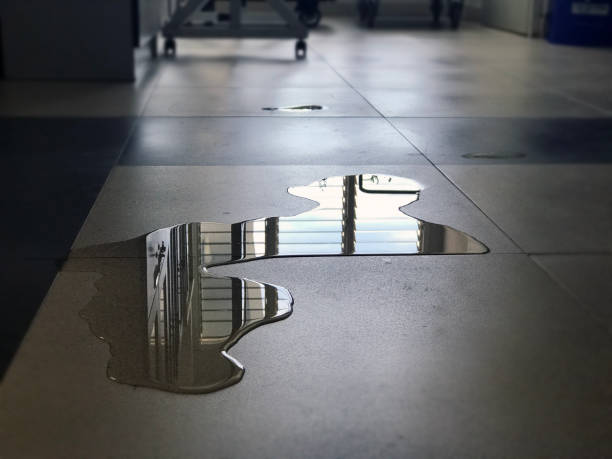 Best Water damage restoration near me  in Romeo, MI