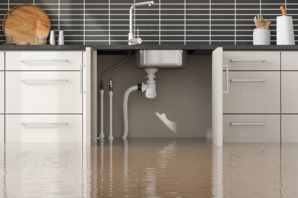 Best 24-hour water damage restoration  in Romeo, MI